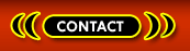 Transsexuals Phone Sex Contact Detroit